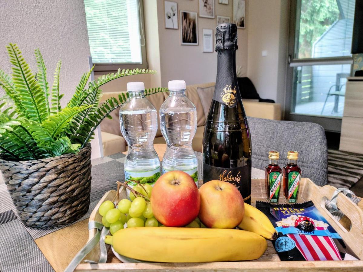 Relax Harrachov Apartments - Free Wellness Grotta Spa Dış mekan fotoğraf